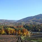 Das Apfelland im Herbst - Steiermark